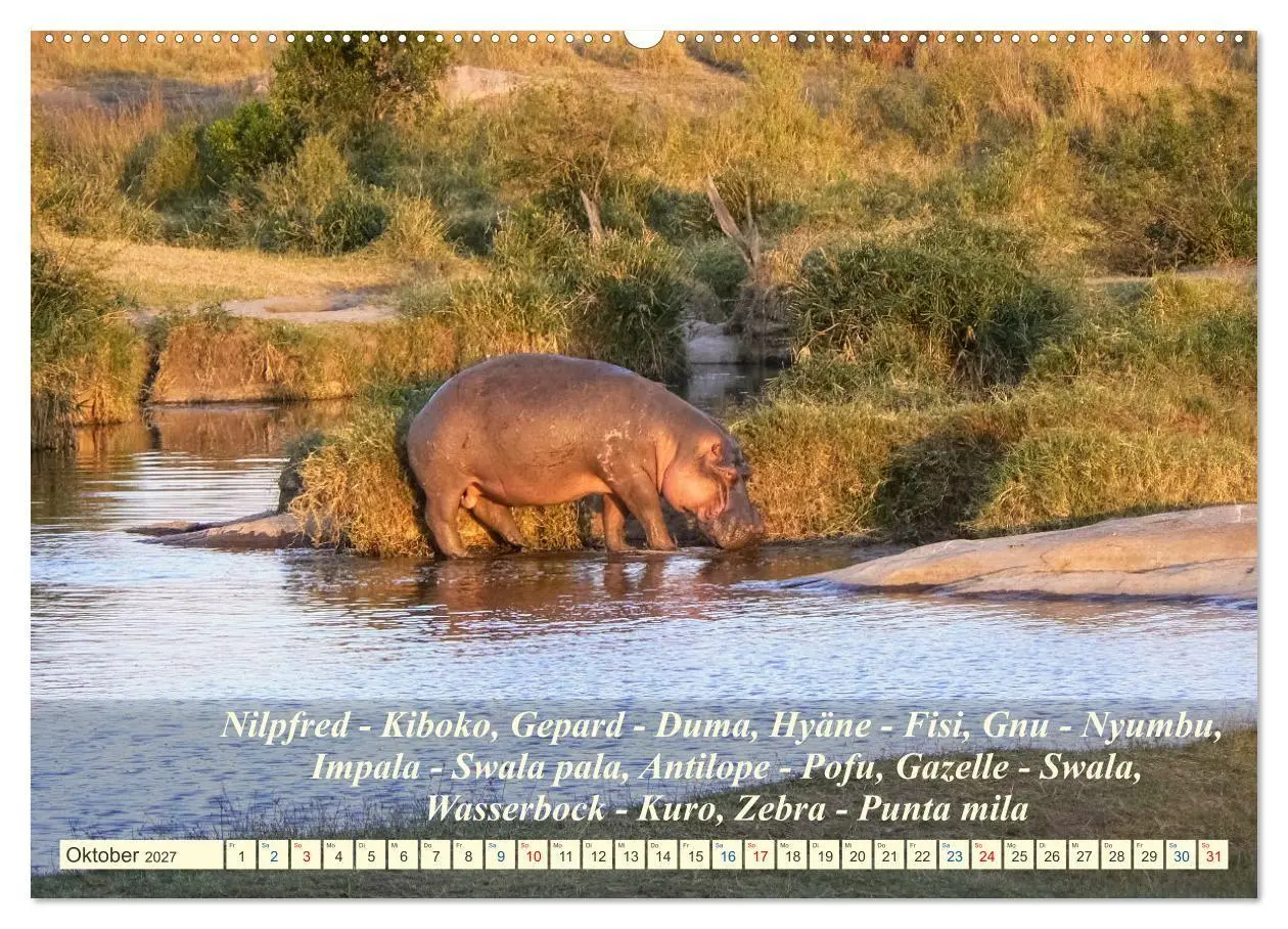 Bild: 9783569520646 | Jambo Kenya (hochwertiger Premium Wandkalender 2027 DIN A2 quer),...