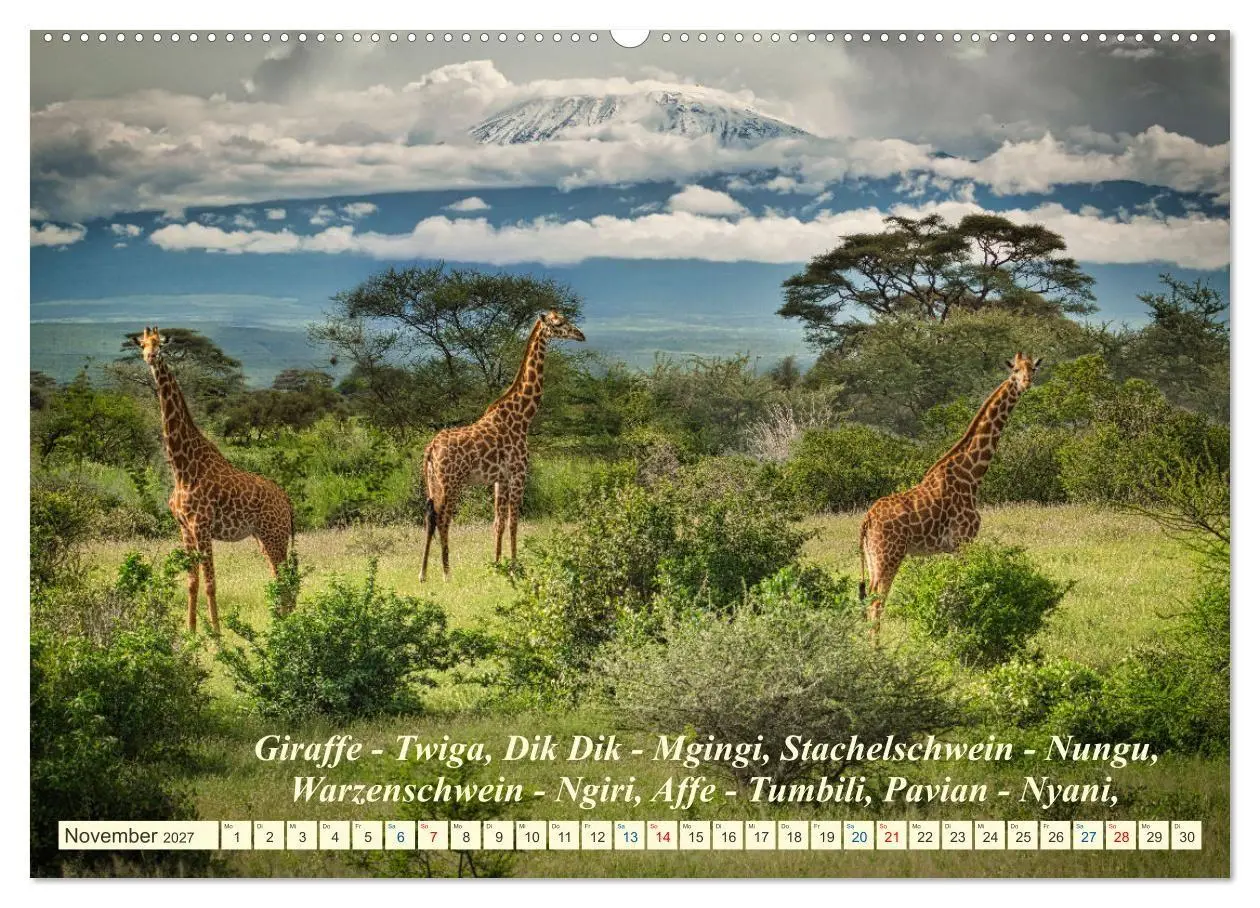 Bild: 9783569520646 | Jambo Kenya (hochwertiger Premium Wandkalender 2027 DIN A2 quer),...
