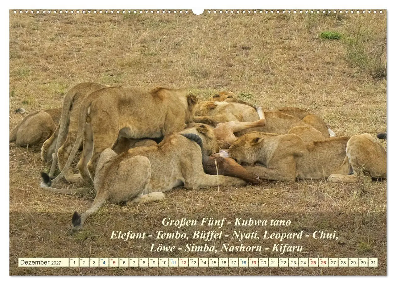 Bild: 9783569520646 | Jambo Kenya (hochwertiger Premium Wandkalender 2027 DIN A2 quer),...