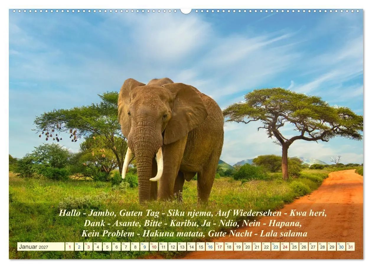 Bild: 9783569520646 | Jambo Kenya (hochwertiger Premium Wandkalender 2027 DIN A2 quer),...