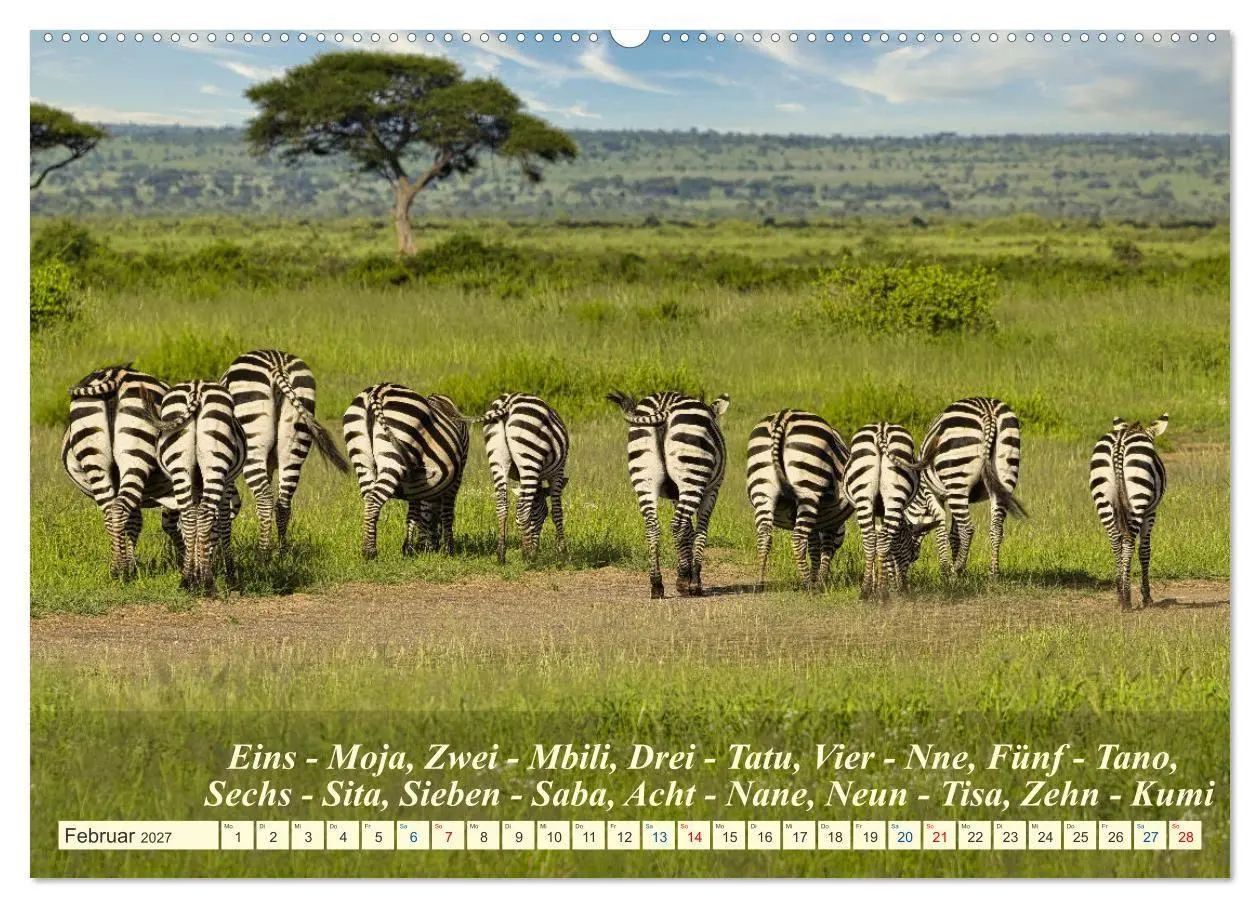 Bild: 9783569520646 | Jambo Kenya (hochwertiger Premium Wandkalender 2027 DIN A2 quer),...