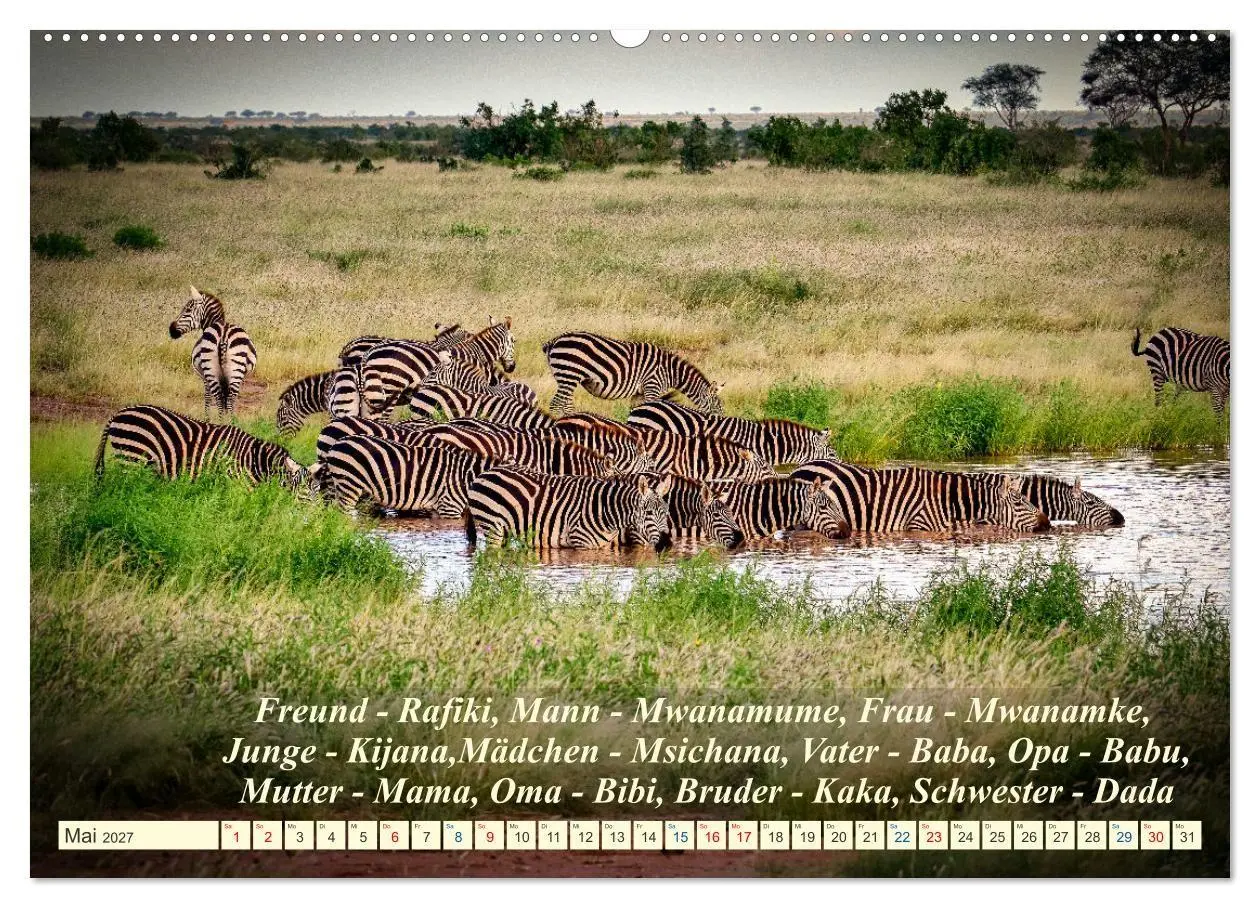 Bild: 9783569520646 | Jambo Kenya (hochwertiger Premium Wandkalender 2027 DIN A2 quer),...