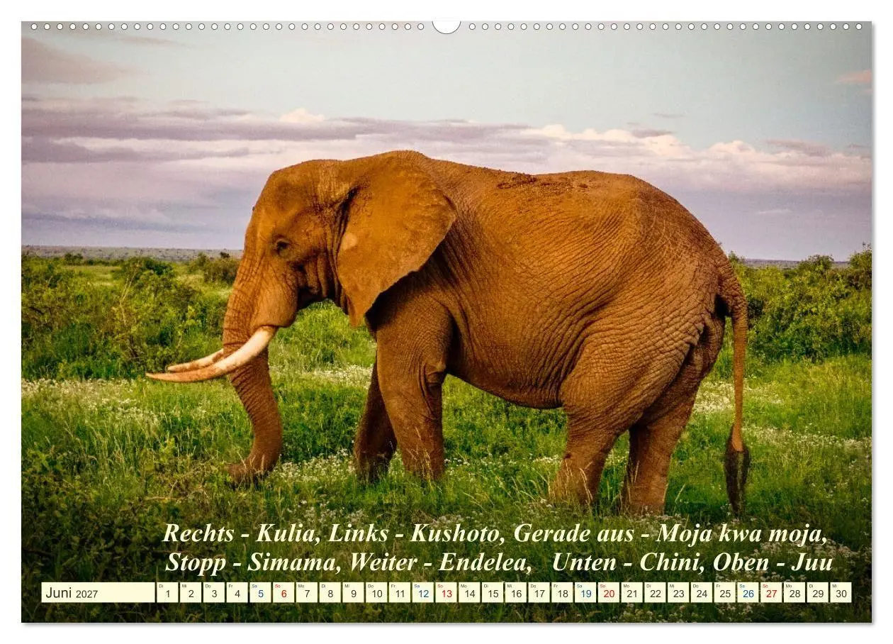 Bild: 9783569520646 | Jambo Kenya (hochwertiger Premium Wandkalender 2027 DIN A2 quer),...