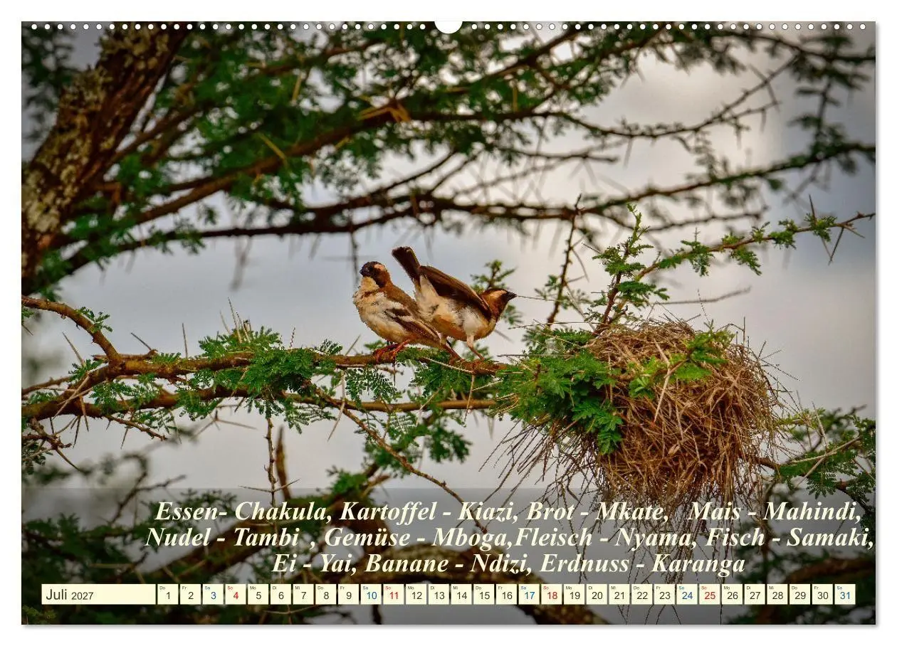 Bild: 9783569520646 | Jambo Kenya (hochwertiger Premium Wandkalender 2027 DIN A2 quer),...