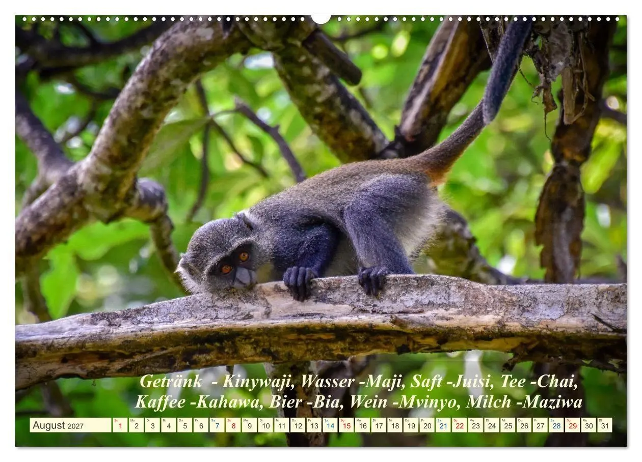 Bild: 9783569520646 | Jambo Kenya (hochwertiger Premium Wandkalender 2027 DIN A2 quer),...