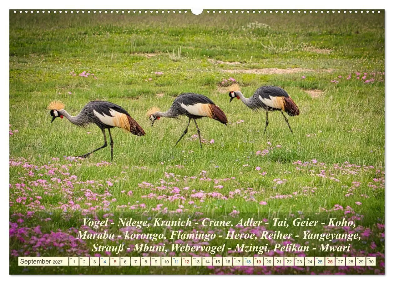 Bild: 9783569520646 | Jambo Kenya (hochwertiger Premium Wandkalender 2027 DIN A2 quer),...