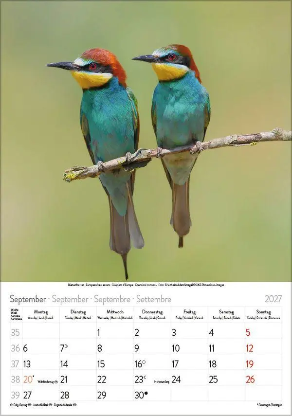 Bild: 9783819300646 | Vögel 2027 | Verlag Korsch | Kalender | Spiralbindung | 13 S. | 2027