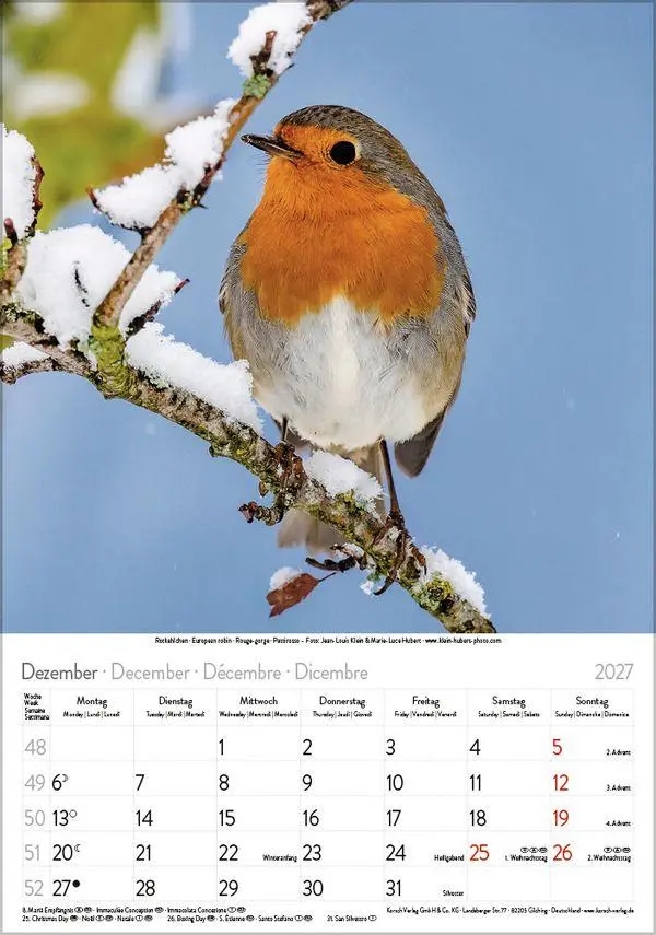 Bild: 9783819300646 | Vögel 2027 | Verlag Korsch | Kalender | Spiralbindung | 13 S. | 2027
