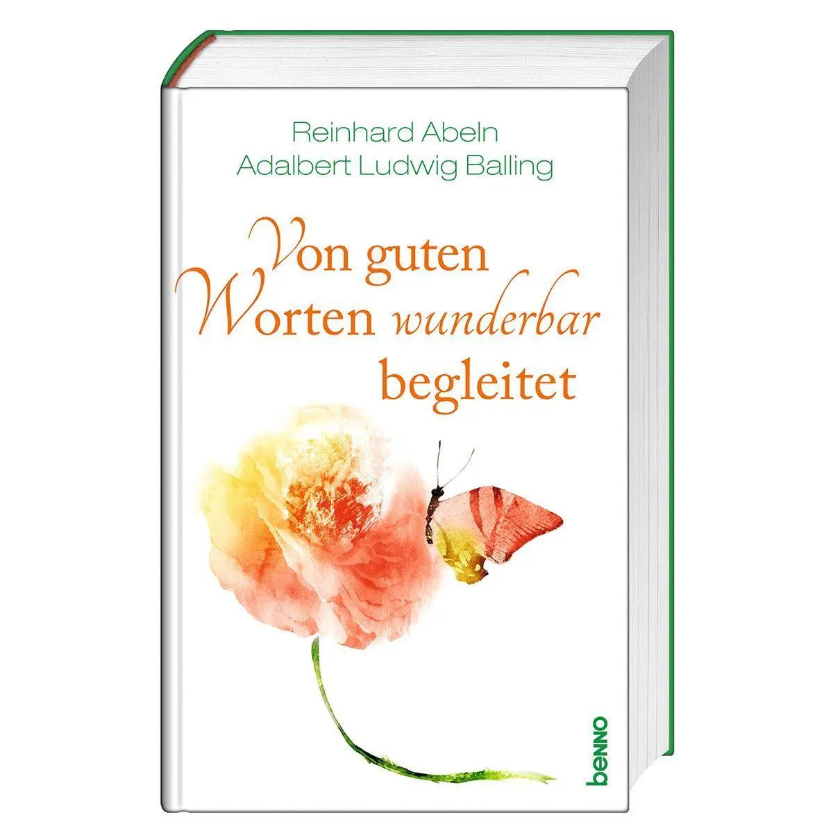 Cover: 9783746270746 | Von guten Worten wunderbar begleitet | 365 Aufmunterungen | Buch