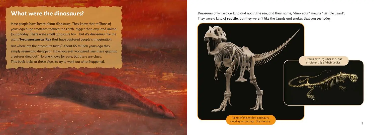Bild: 9780007230846 | What Happened to the Dinosaurs? | Topaz/Band 13 | Jon Hughes | Buch
