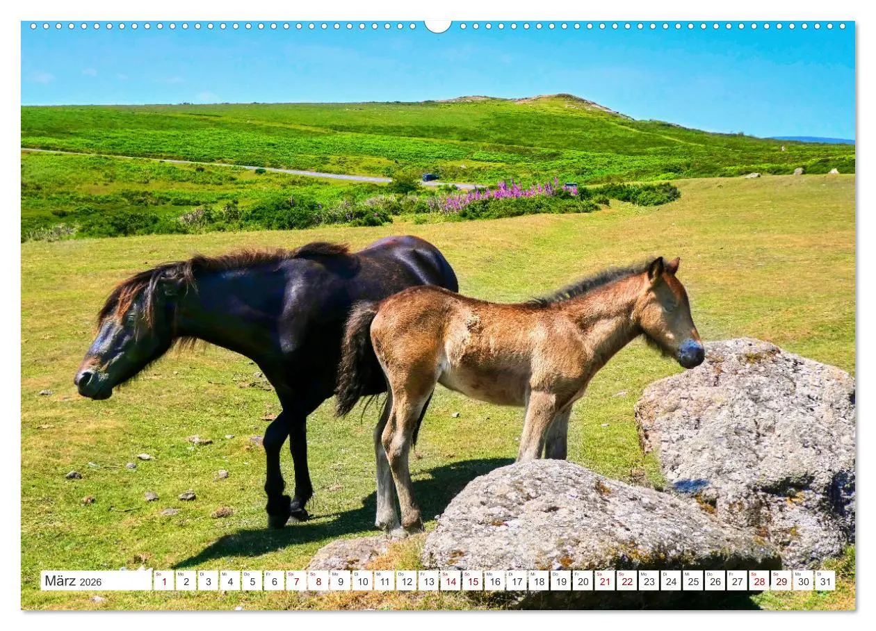Bild: 9783457490846 | Südengland - On the road in Devon und Cornwall (Wandkalender 2026...
