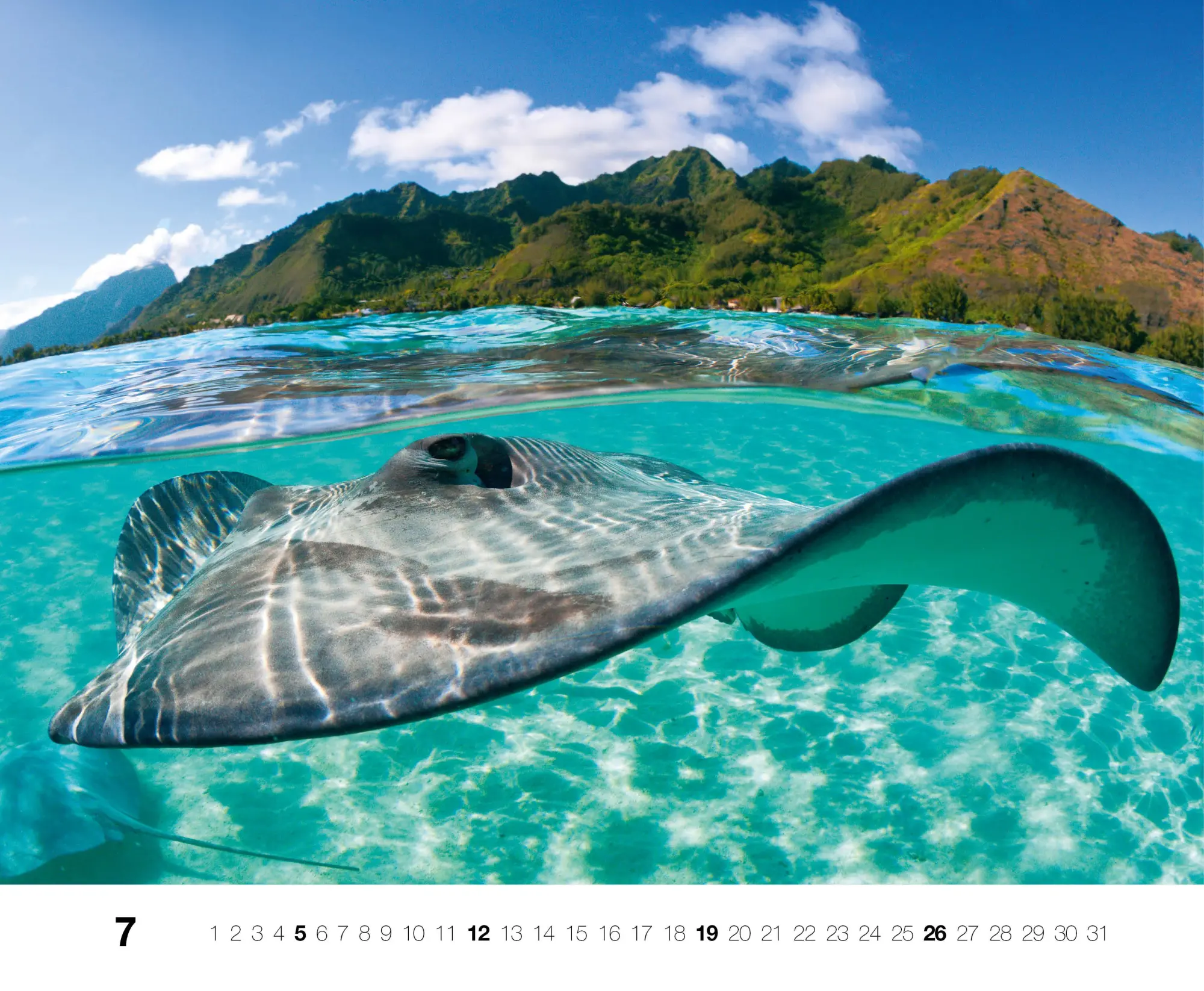 Bild: 9783667130846 | Dive 2026 | Kalender | Kalender | 14 S. | Deutsch | 2026
