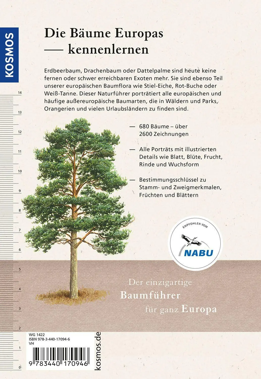Bild: 9783440170946 | Der Kosmos-Baumführer Europa | 680 Bäume, 2600 Zeichnungen | Buch