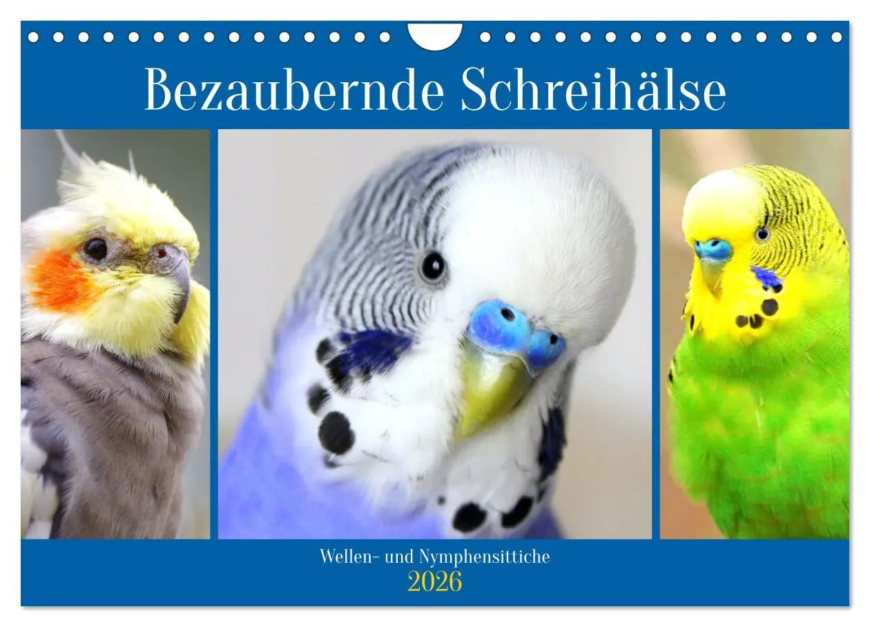 Cover: 9783457620946 | Bezaubernde Schreihälse. Wellen- und Nymphensittiche (Wandkalender...