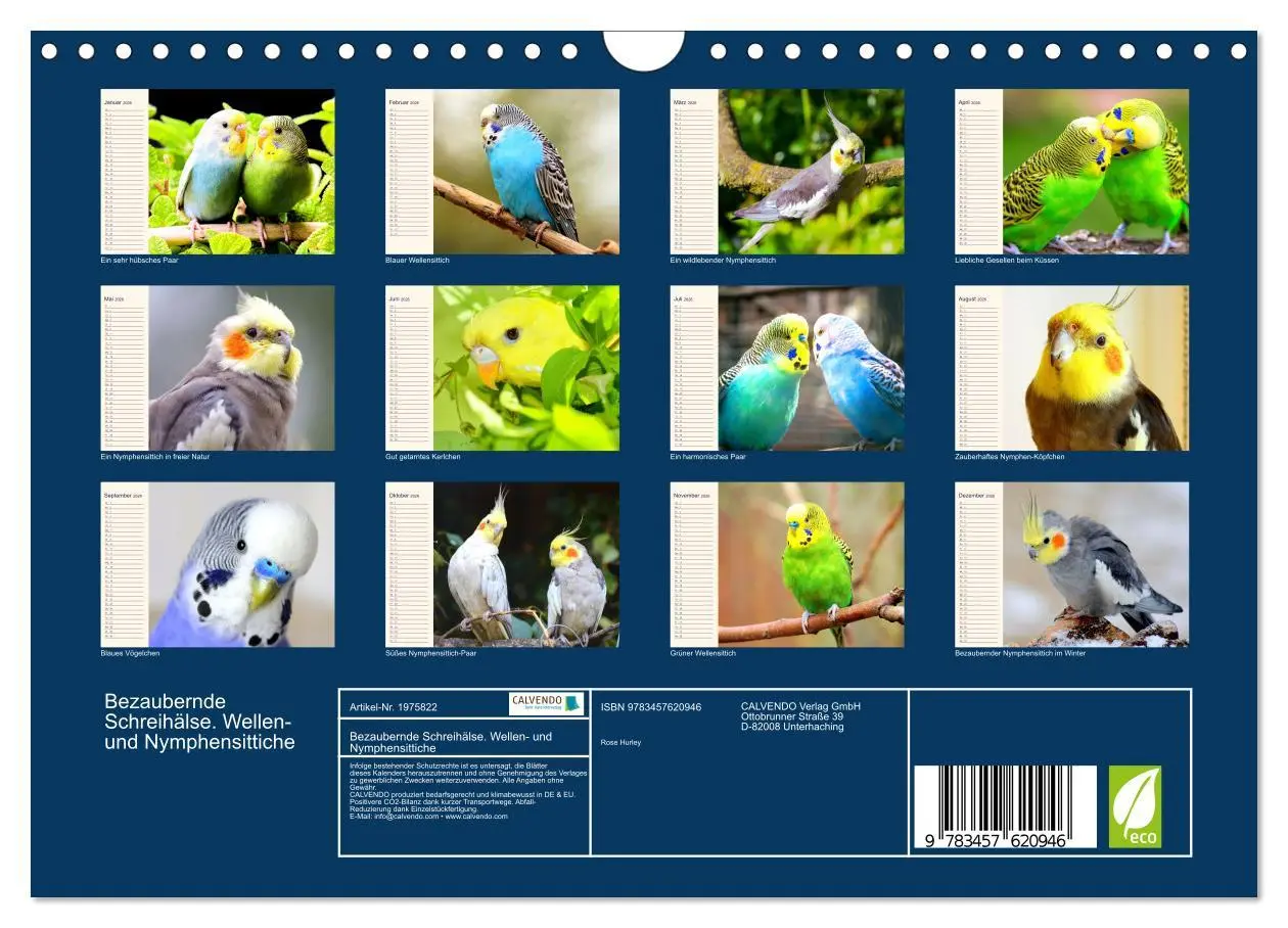 Bild: 9783457620946 | Bezaubernde Schreihälse. Wellen- und Nymphensittiche (Wandkalender...