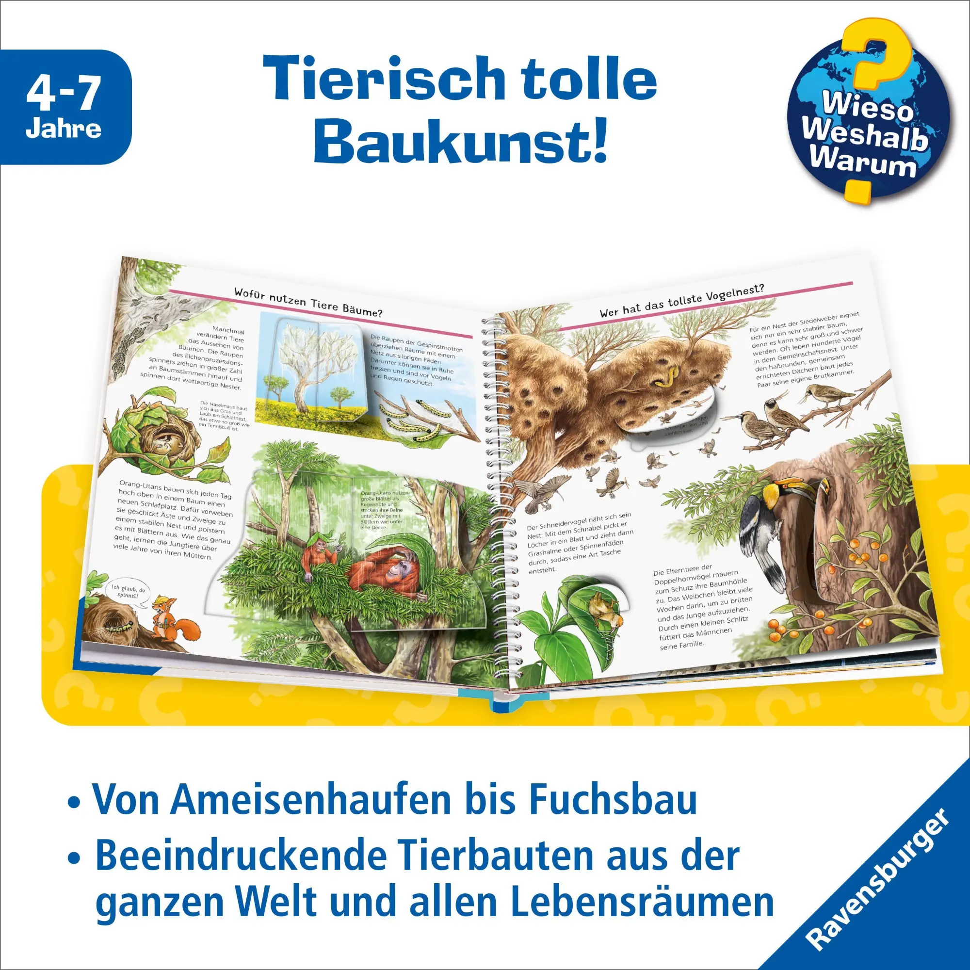 Bild: 9783473600946 | Wieso? Weshalb? Warum? Band 66 - Was Tiere alles bauen | Gernhäuser