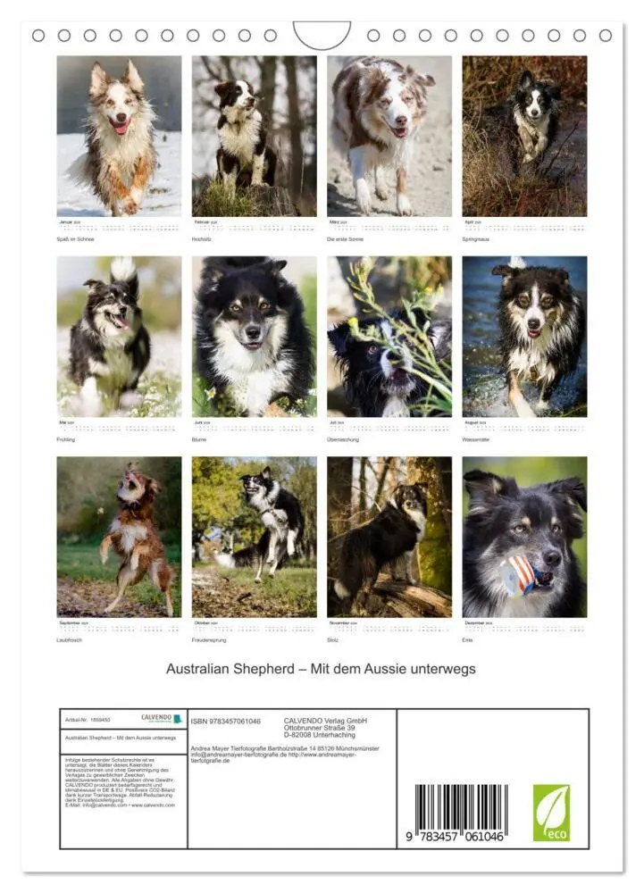 Bild: 9783457061046 | Australian Shepherd - Mit dem Aussie unterwegs (Wandkalender 2025...