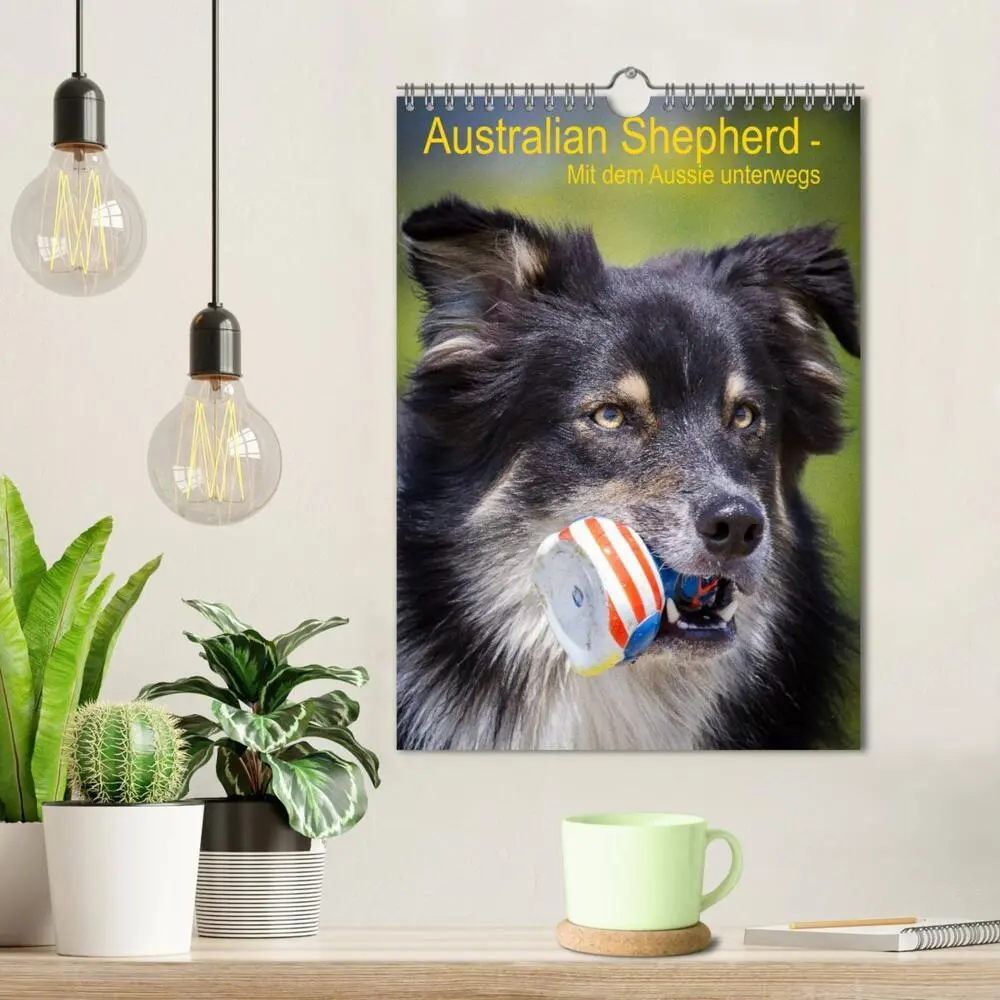 Bild: 9783457061046 | Australian Shepherd - Mit dem Aussie unterwegs (Wandkalender 2025...