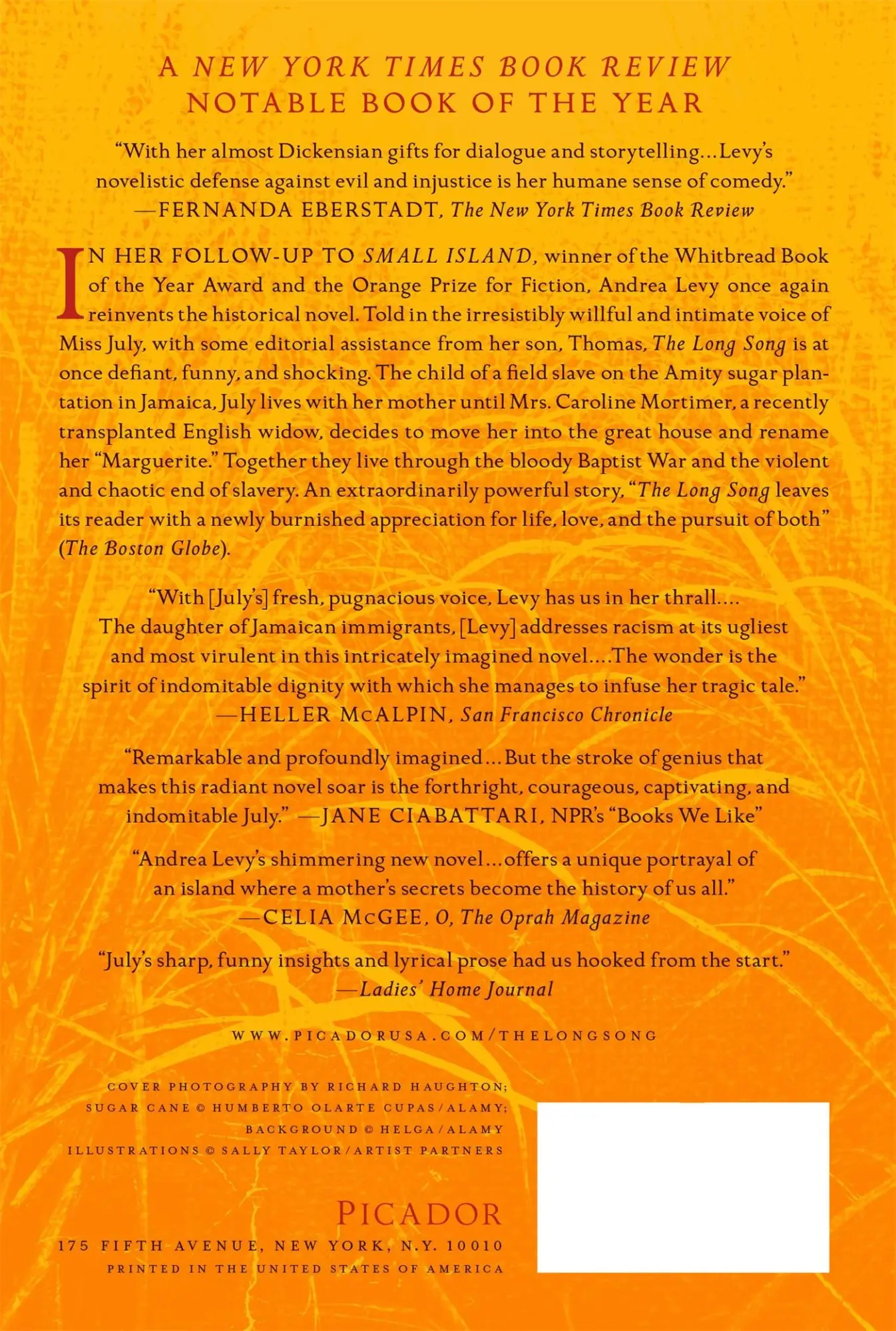 Rückseite: 9780312571146 | Long Song | Andrea Levy | Taschenbuch | Kartoniert / Broschiert | 2011