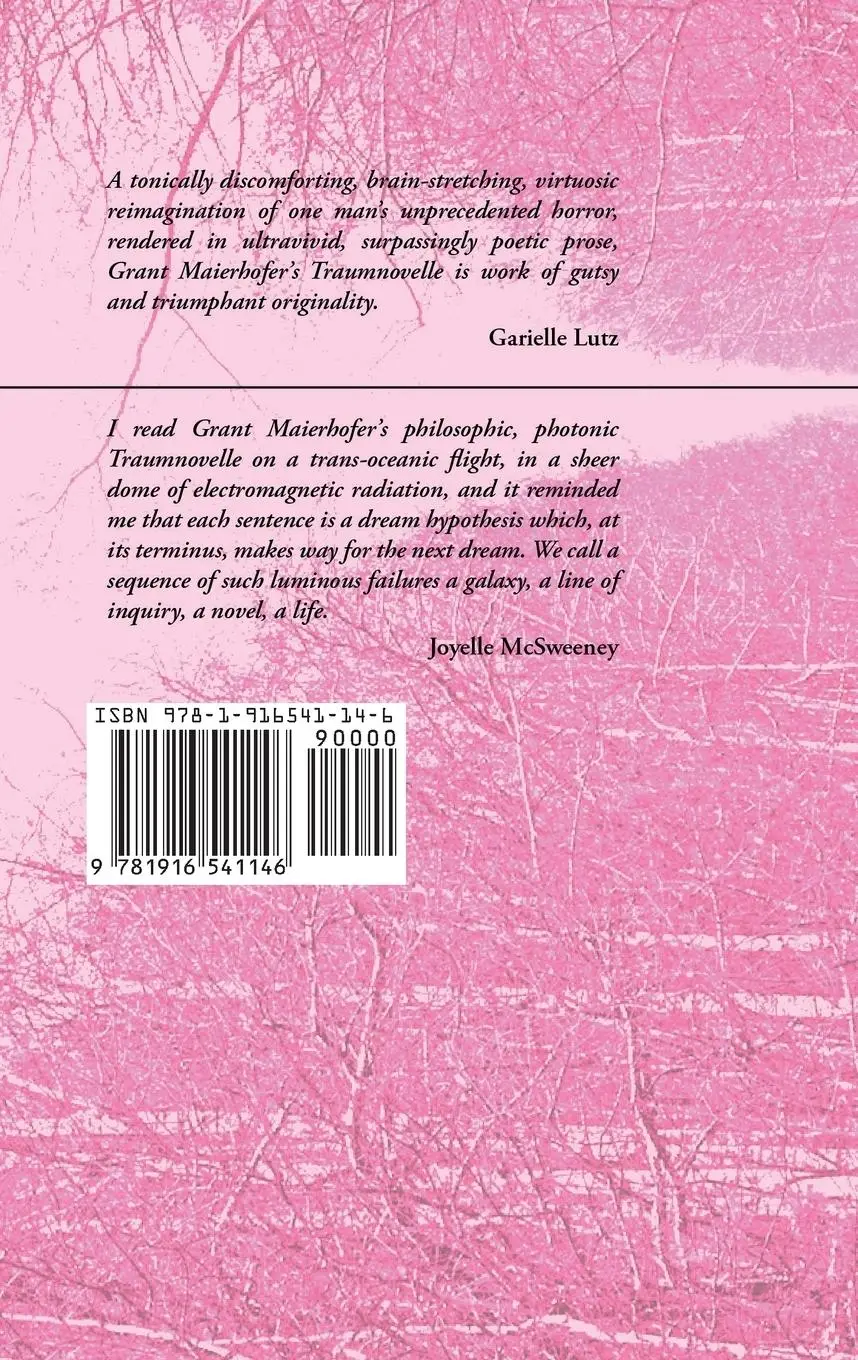 Rückseite: 9781916541146 | Traumnovelle | Grant Maierhofer | Taschenbuch | Englisch | 2025