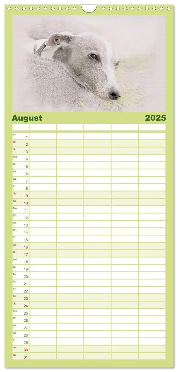 Bild: 9783457121146 | Familienplaner 2025 - Whippet 2025 mit 5 Spalten (Wandkalender, 21...