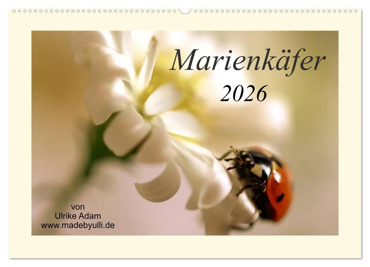 Cover: 9783516141146 | Marienkäfer / 2026 (Wandkalender 2026 DIN A2 quer), CALVENDO...