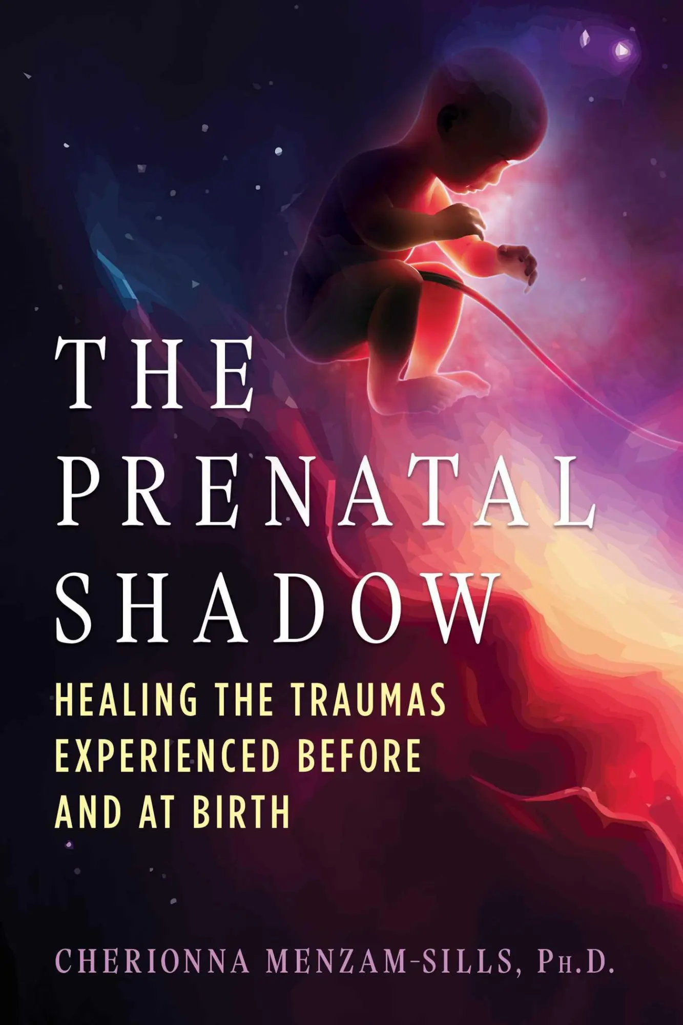 Cover: 9798888501146 | The Prenatal Shadow | Cherionna Menzam-Sills | Taschenbuch | Englisch