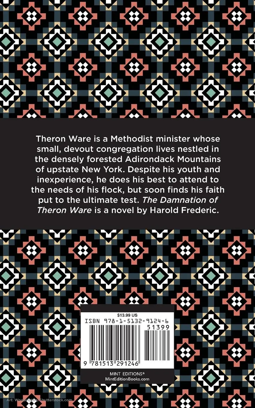 Rückseite: 9781513291246 | The Damnation of Theron Ware | Harold Frederic | Taschenbuch | 2021