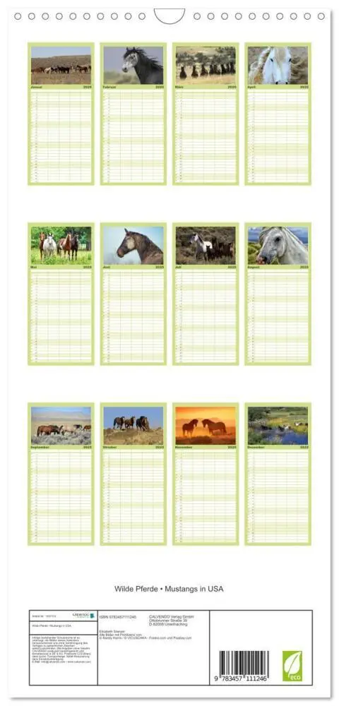 Bild: 9783457111246 | Familienplaner 2025 - Wilde Pferde - Mustangs in USA mit 5 Spalten...