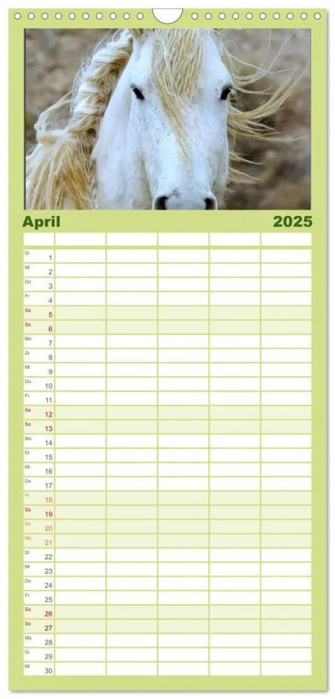 Bild: 9783457111246 | Familienplaner 2025 - Wilde Pferde - Mustangs in USA mit 5 Spalten...