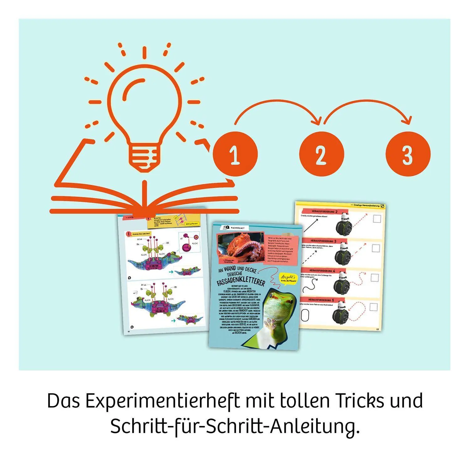 Bild: 4002051621346 | Crashy | Experimentierkasten | Spiel | 621346 | Deutsch | 2026