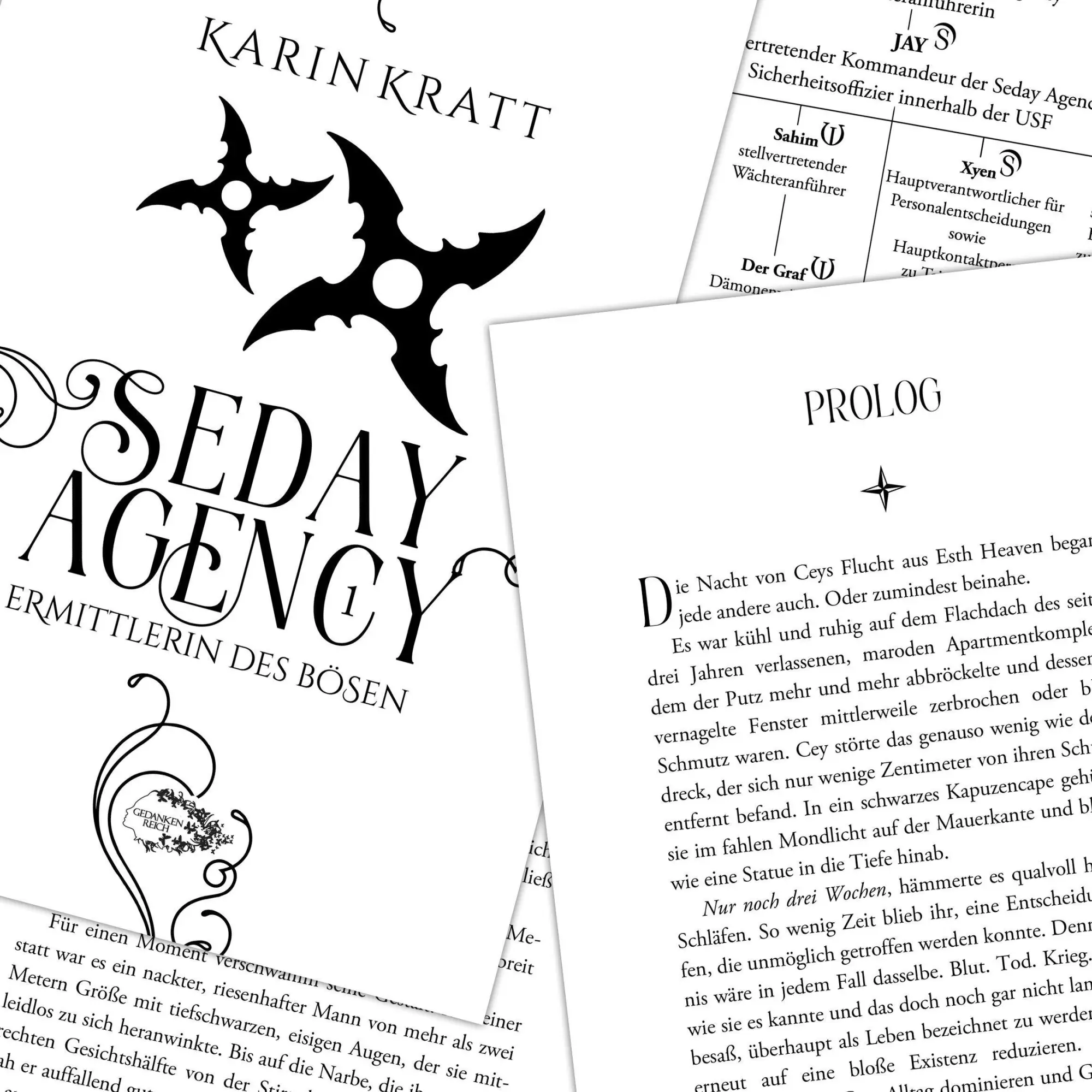 Bild: 9783987921346 | Seday Agency 1: Ermittlerin des Bösen (Seday Academy 11) | Karin Kratt