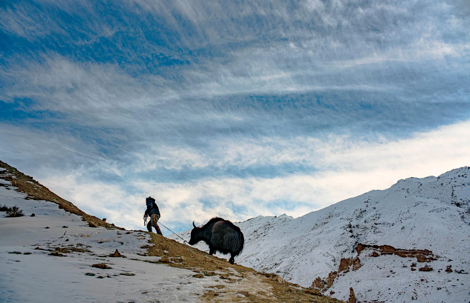 Bild: 9783967041446 | Voyages | Sidetracked Beyond | Laura Allsop (u. a.) | Buch | 272 S.