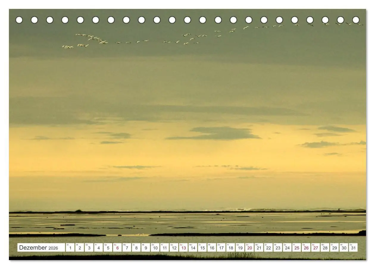 Bild: 9783457491546 | Magie des Nordens, Island und Norwegen (Tischkalender 2026 DIN A5...