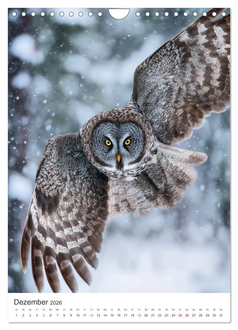 Bild: 9783516721546 | Im Herz der Wildnis (Wandkalender 2026 DIN A4 hoch), CALVENDO...