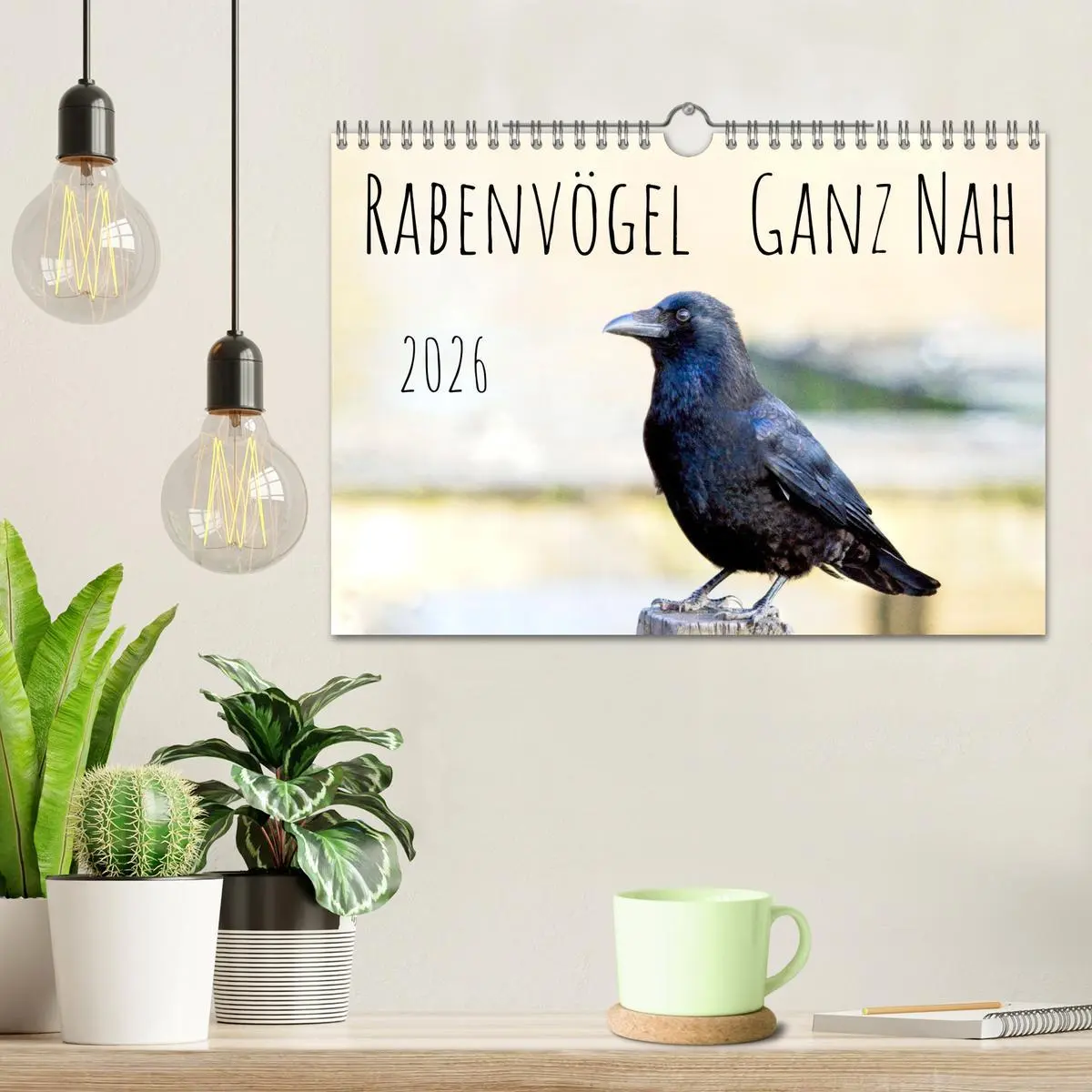 Bild: 9783457551646 | Rabenvögel - ganz nah (Wandkalender 2026 DIN A4 quer), CALVENDO...