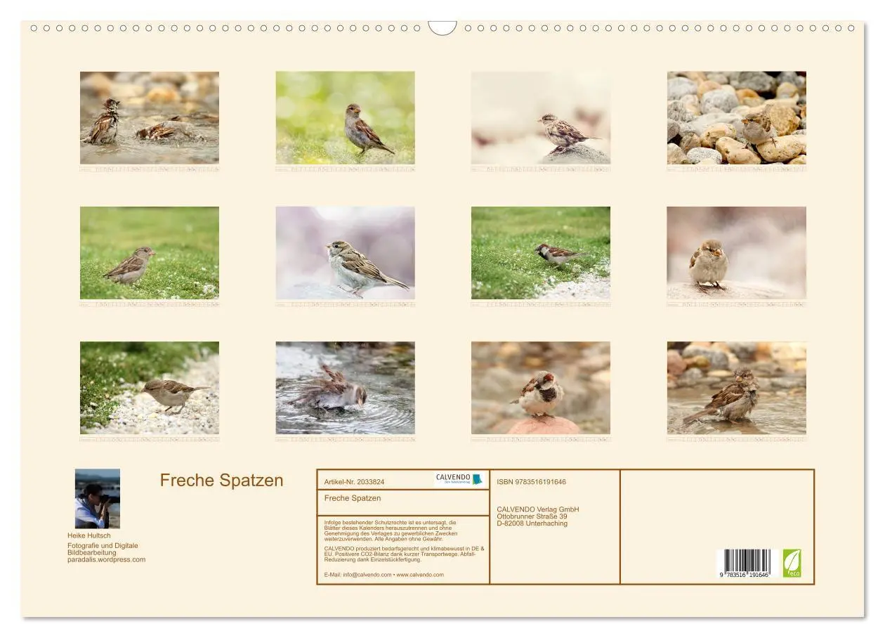 Bild: 9783516191646 | Freche Spatzen (Wandkalender 2026 DIN A2 quer), CALVENDO...
