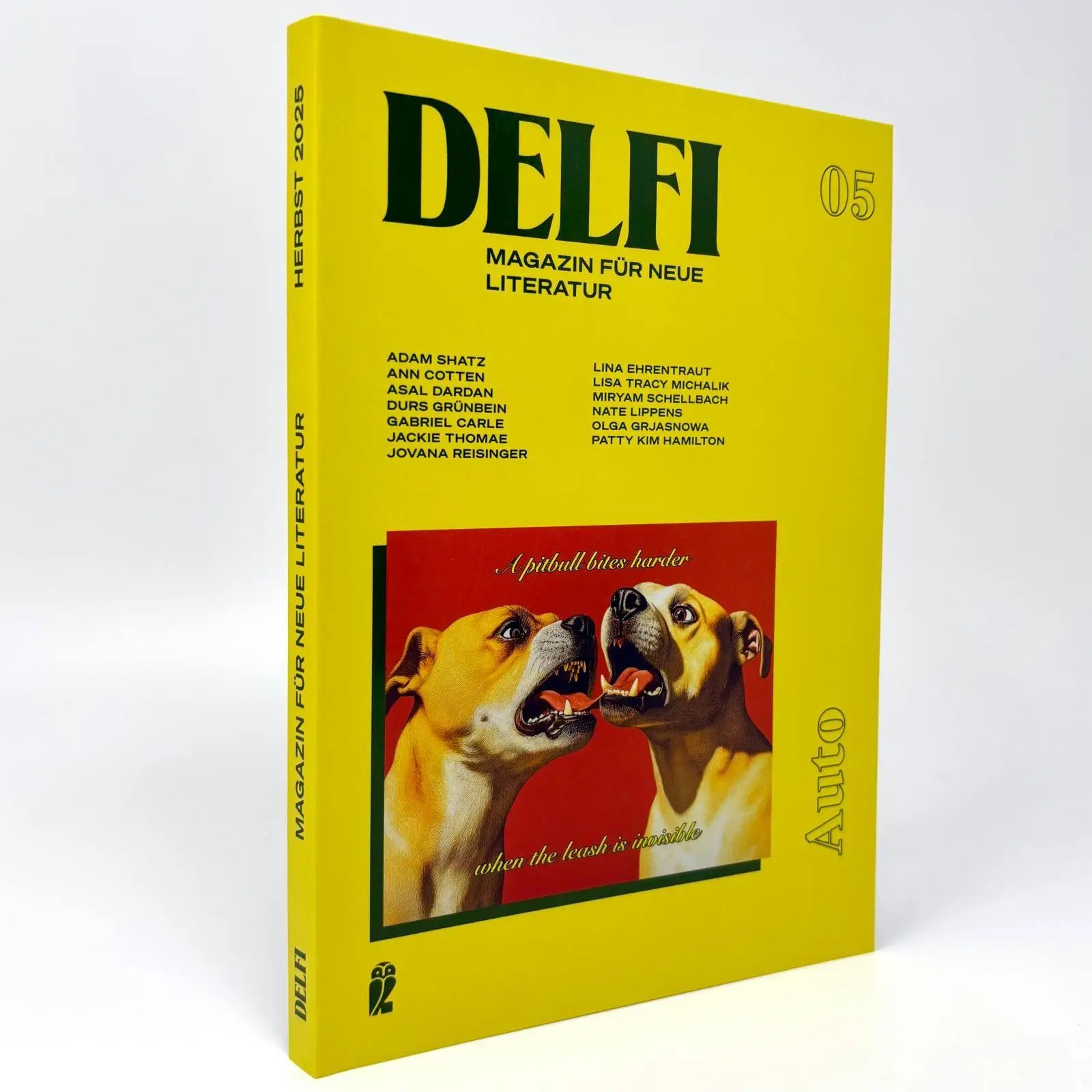 Bild: 9783546101646 | DELFI: AUTO | Fatma Aydemir (u. a.) | Taschenbuch | Delfi | 160 S.