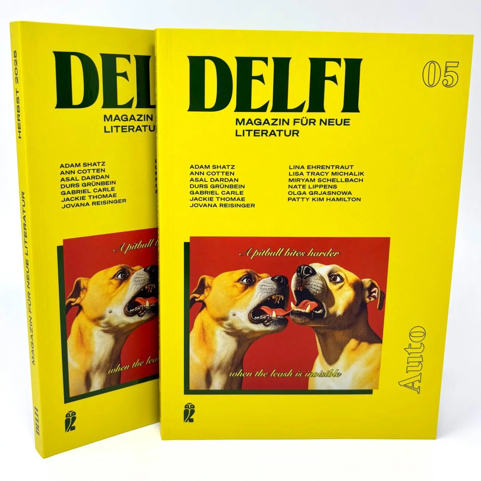 Bild: 9783546101646 | DELFI: AUTO | Fatma Aydemir (u. a.) | Taschenbuch | Delfi | 160 S.