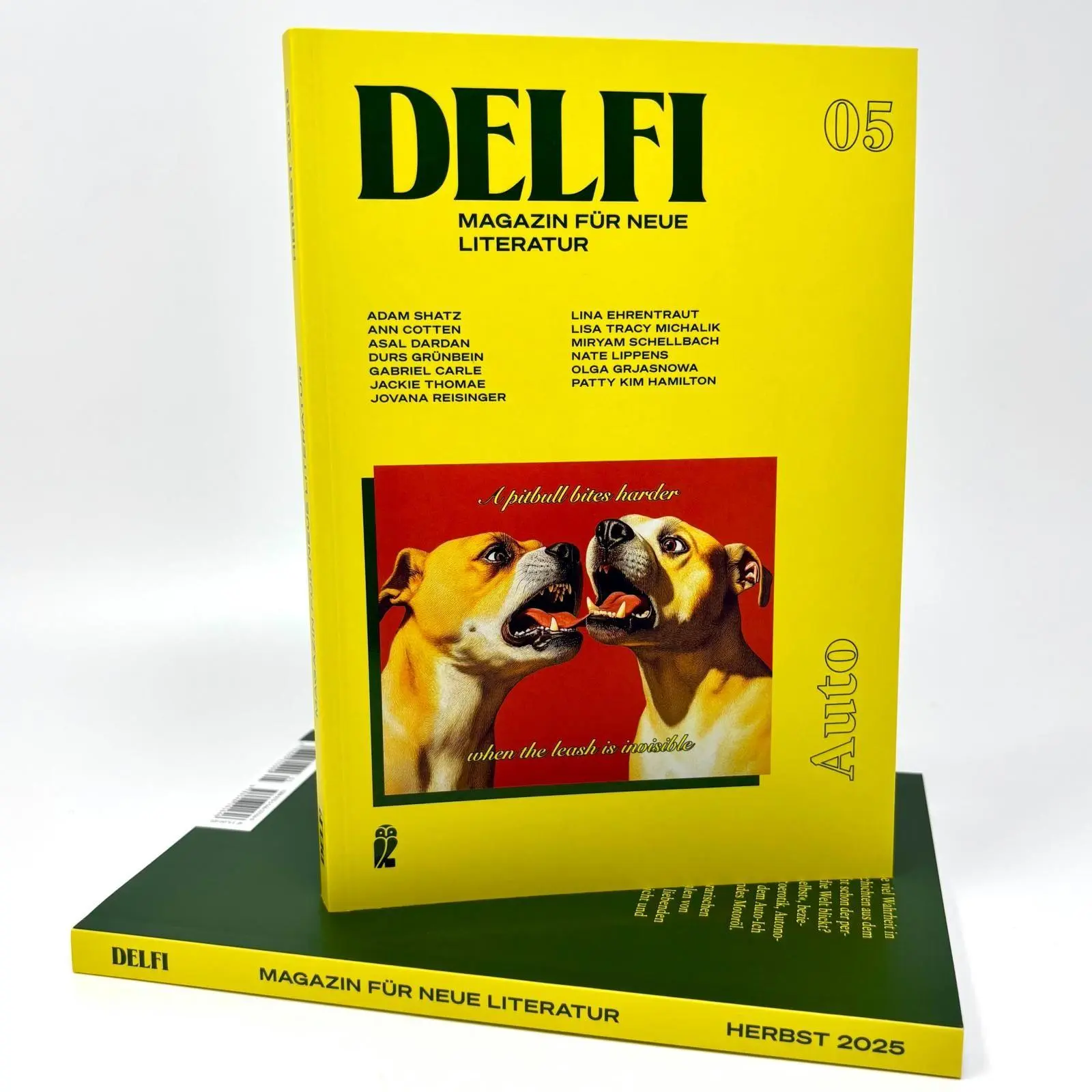 Bild: 9783546101646 | DELFI: AUTO | Fatma Aydemir (u. a.) | Taschenbuch | Delfi | 160 S.