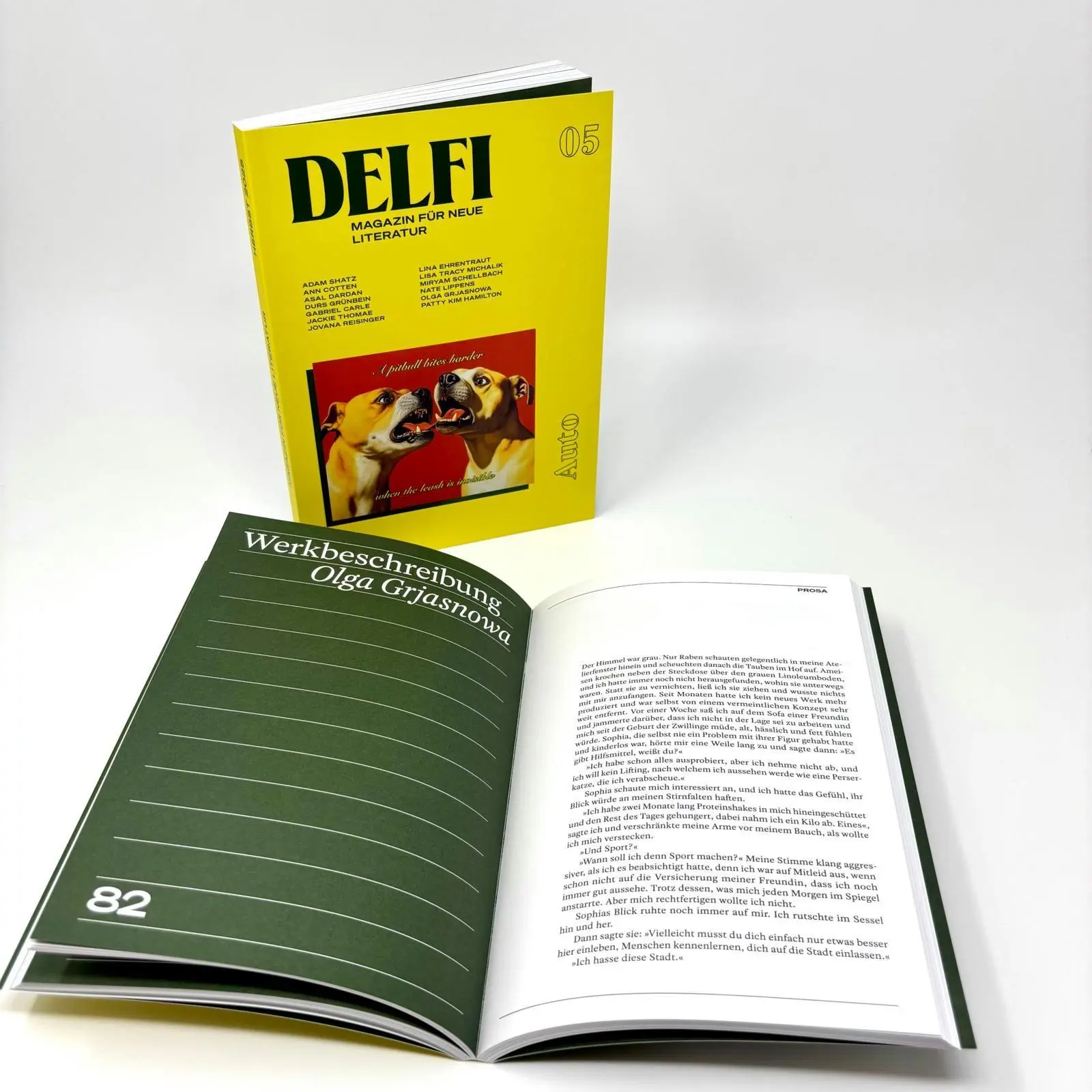 Bild: 9783546101646 | DELFI: AUTO | Fatma Aydemir (u. a.) | Taschenbuch | Delfi | 160 S.