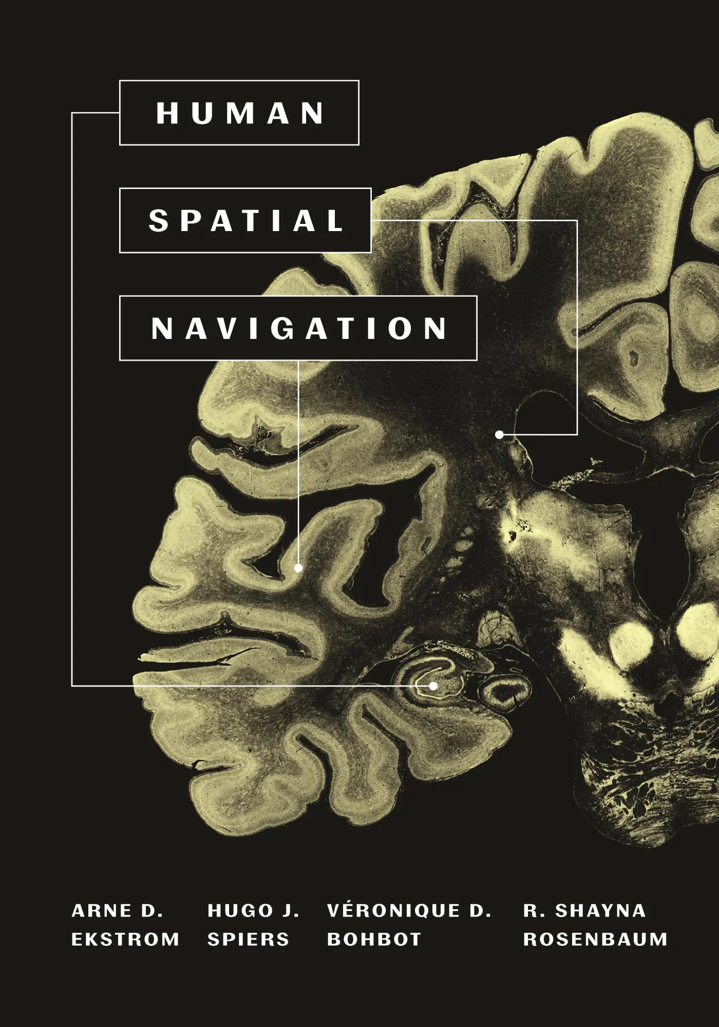 Cover: 9780691171746 | Human Spatial Navigation | Arne Ekstrom (u. a.) | Buch | Englisch