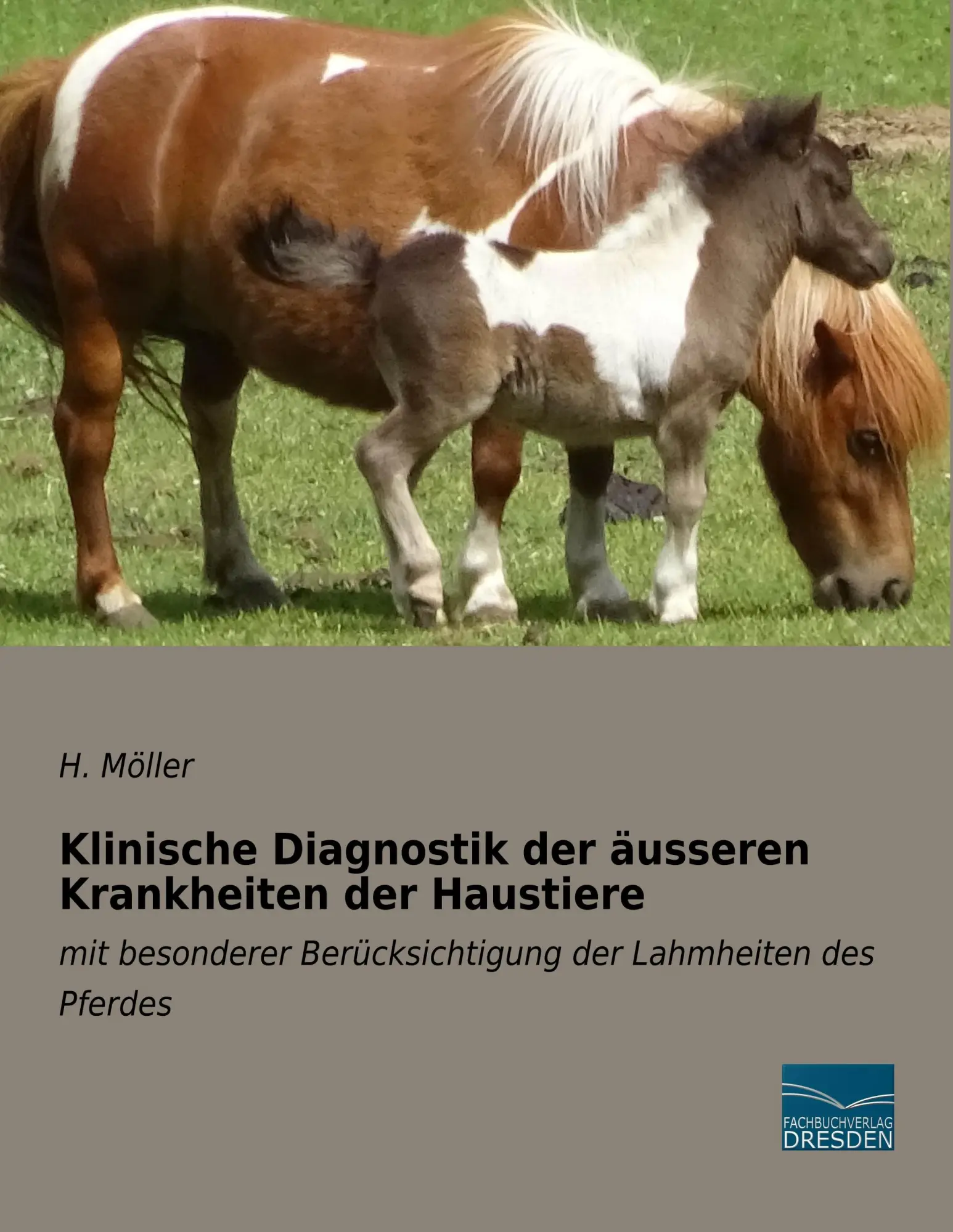 Cover: 9783961691746 | Klinische Diagnostik der äusseren Krankheiten der Haustiere | Möller