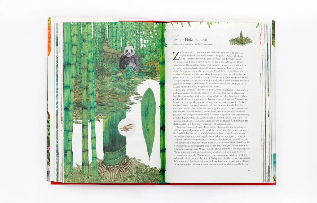 Bild: 9783962441746 | In 80 Pflanzen um die Welt | Jonathan Drori | Buch | 216 S. | Deutsch
