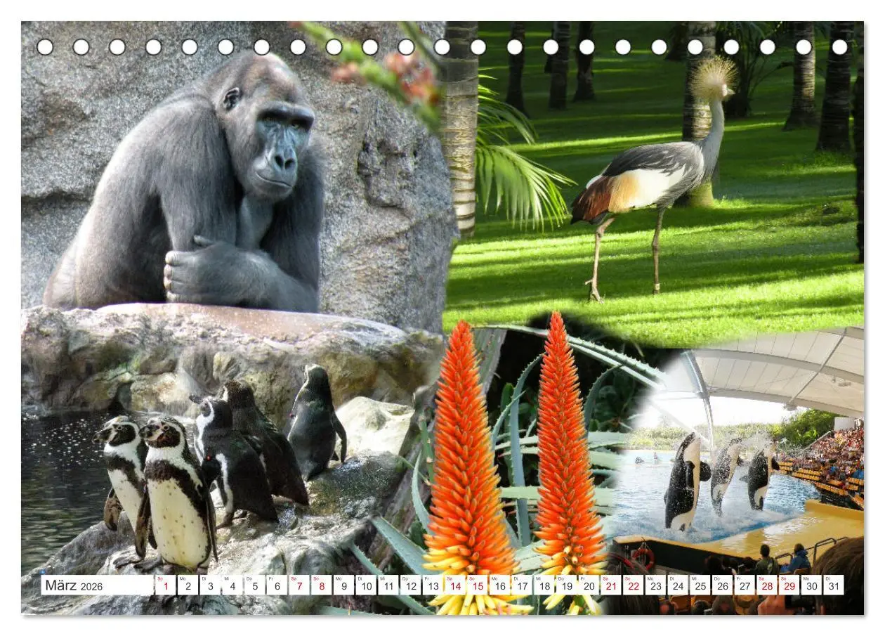 Bild: 9783457391846 | Puerto de la Cruz. Teneriffa Urlaub. (Tischkalender 2026 DIN A5...