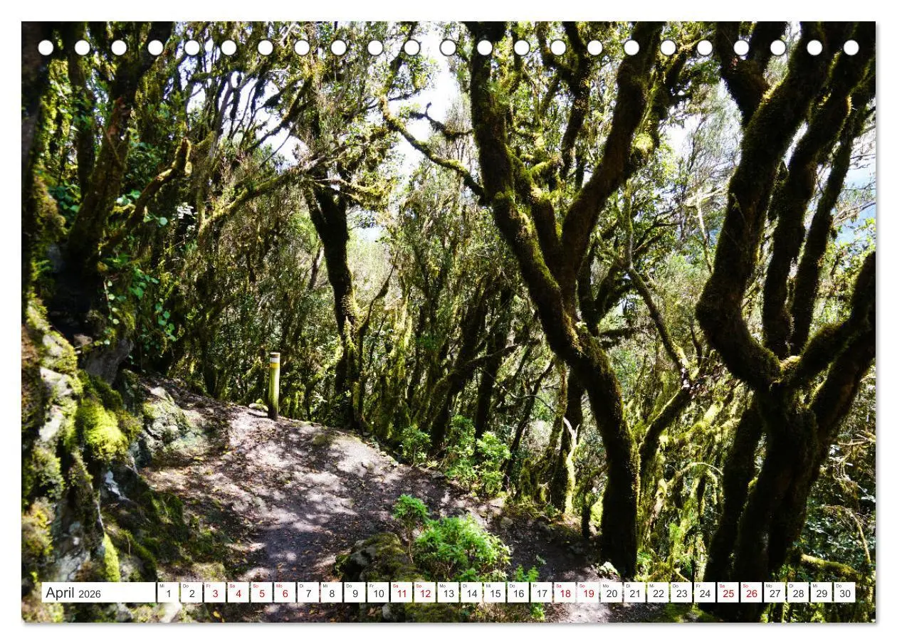 Bild: 9783457391846 | Puerto de la Cruz. Teneriffa Urlaub. (Tischkalender 2026 DIN A5...
