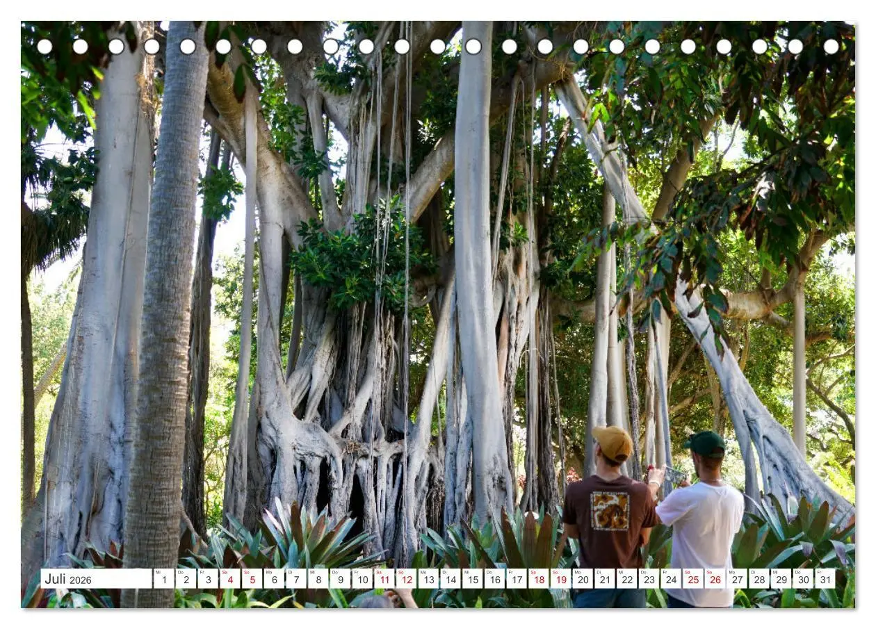Bild: 9783457391846 | Puerto de la Cruz. Teneriffa Urlaub. (Tischkalender 2026 DIN A5...
