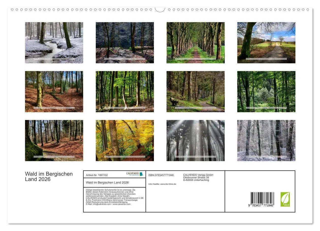 Bild: 9783457771846 | Wald im Bergischen Land 2026 (hochwertiger Premium Wandkalender...