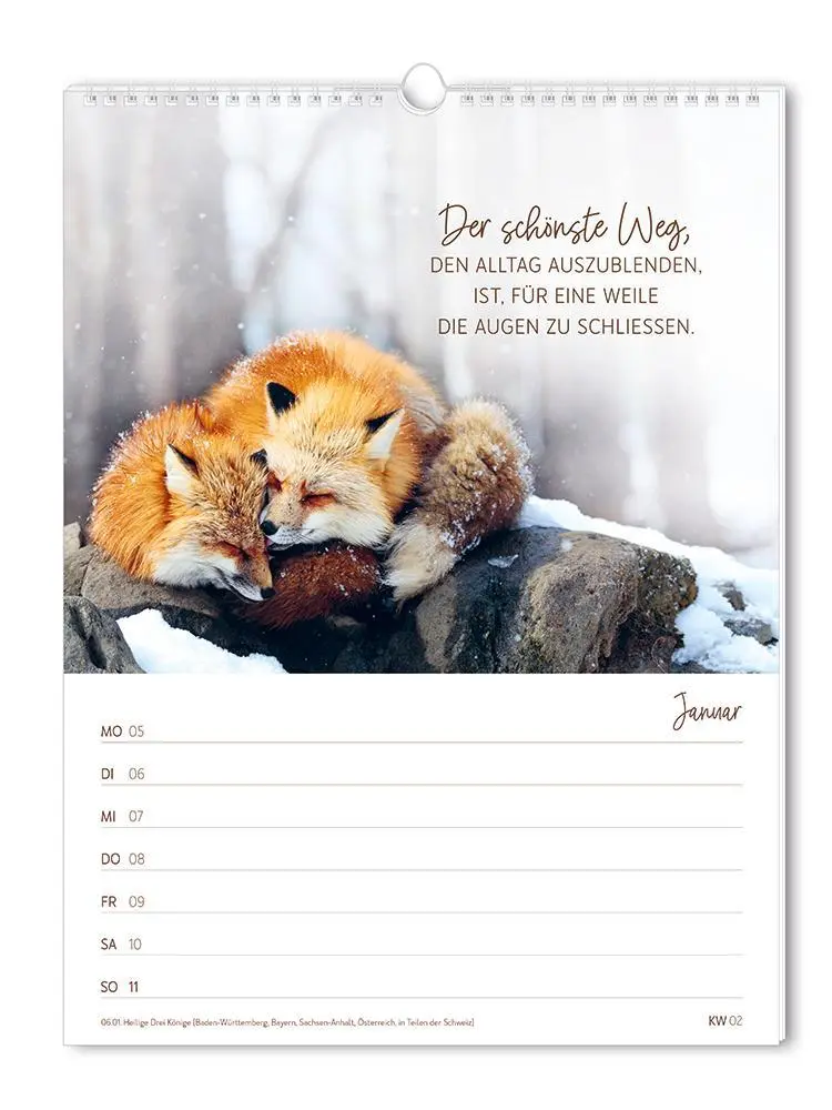 Bild: 9783986361846 | Wochenkalender klein 2026 Zeit für dich | Wochenkalender | Original