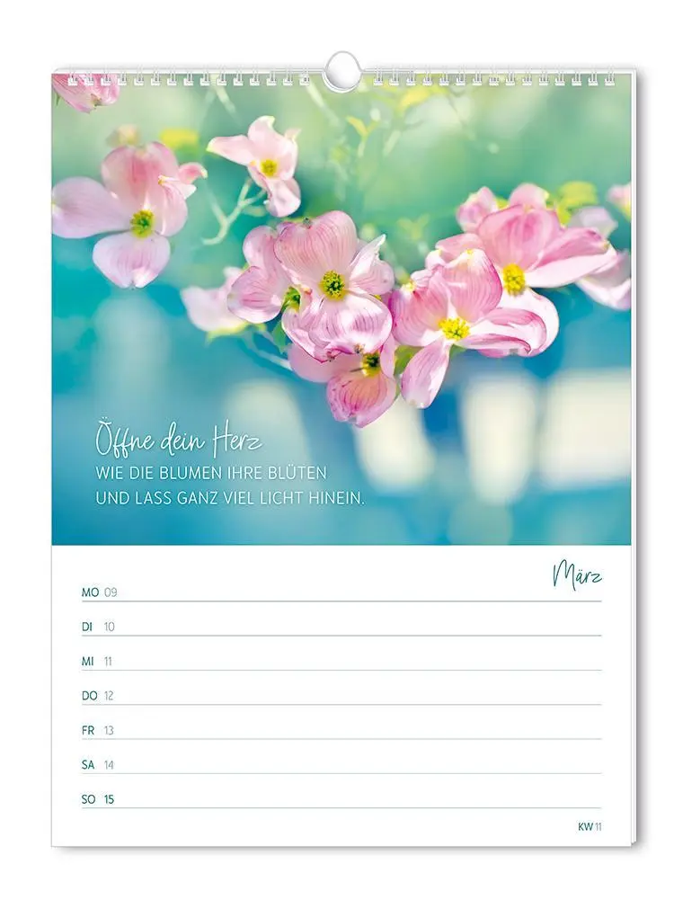 Bild: 9783986361846 | Wochenkalender klein 2026 Zeit für dich | Wochenkalender | Original